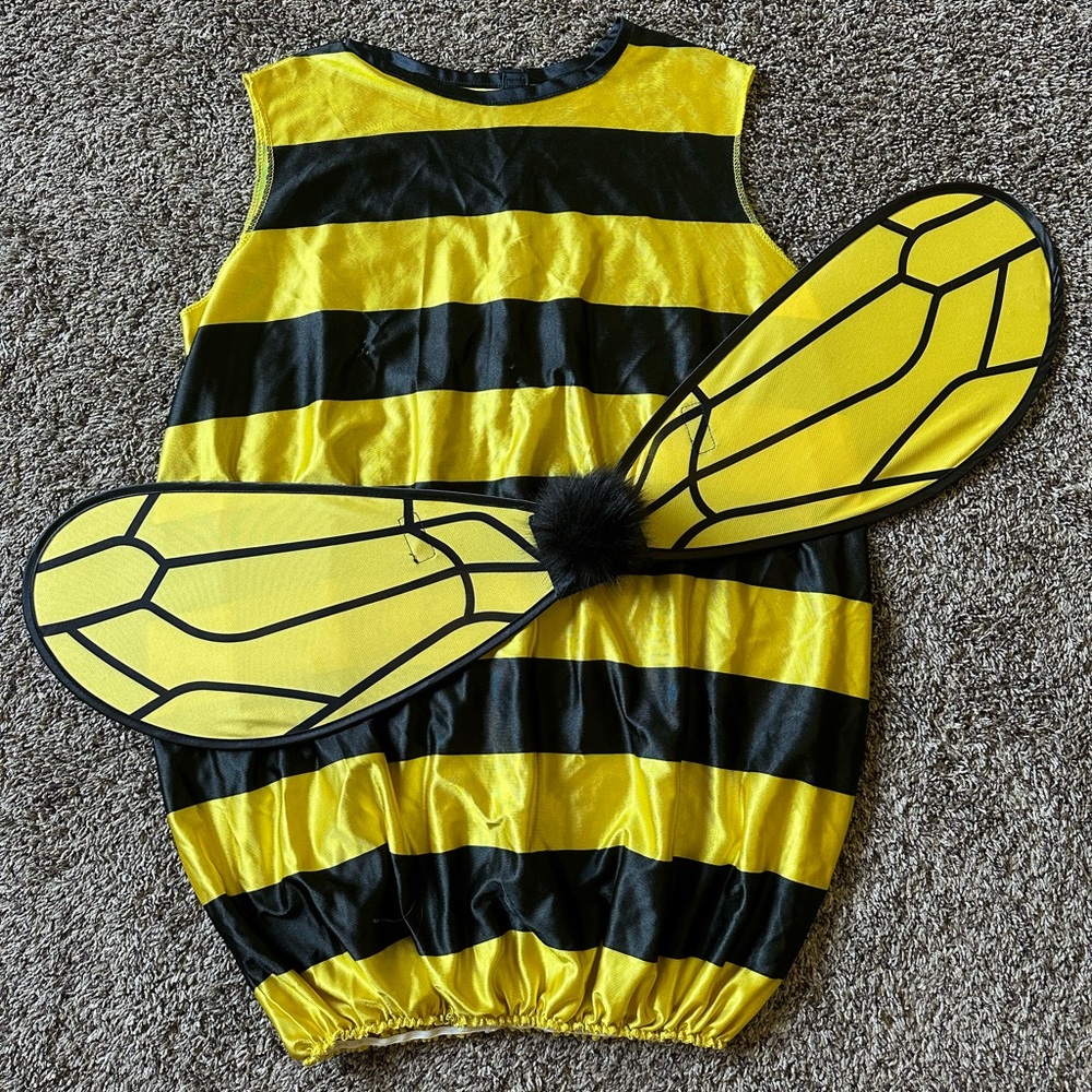 Women’s Bee Costume